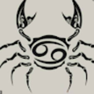 Meet your Posher, Max